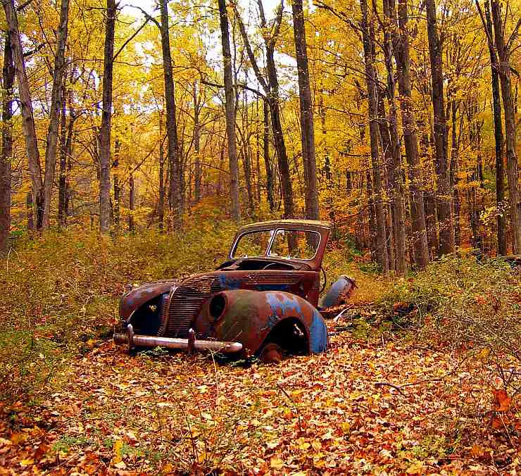 decaying old car in fall forest