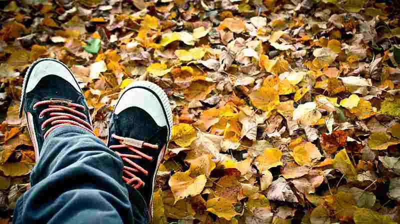 tennis shoes fall leaves